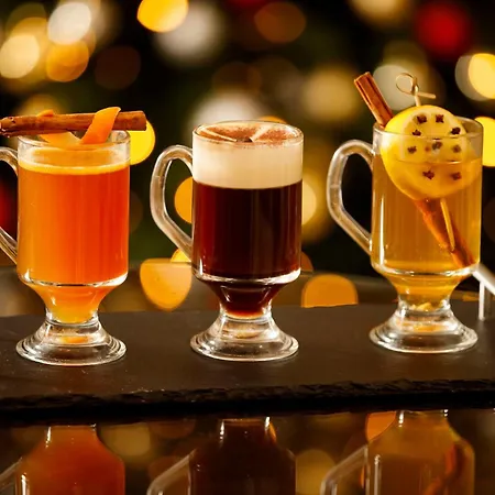 St Helen'S Hotel, Dublin Ξενοδοχείο Δουβλίνο