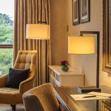 圣海伦斯丽笙酒店 都柏林