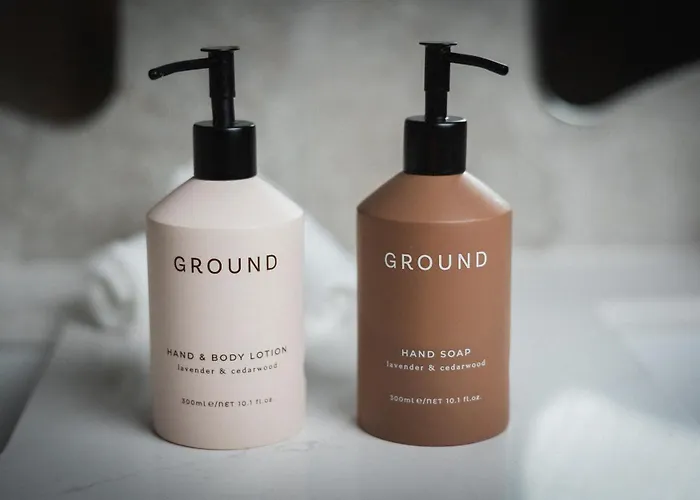 酒店 圣海伦斯丽笙酒店 都柏林