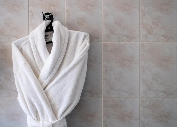 圣海伦斯丽笙酒店